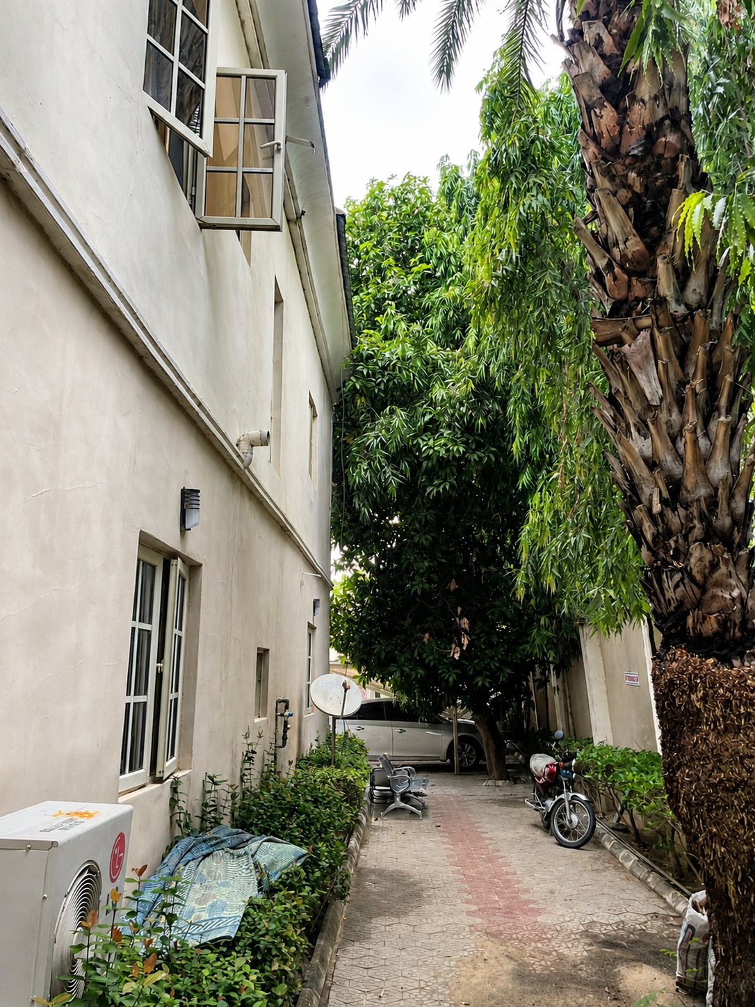 MHWUN office environment with tall trees and parking shelter