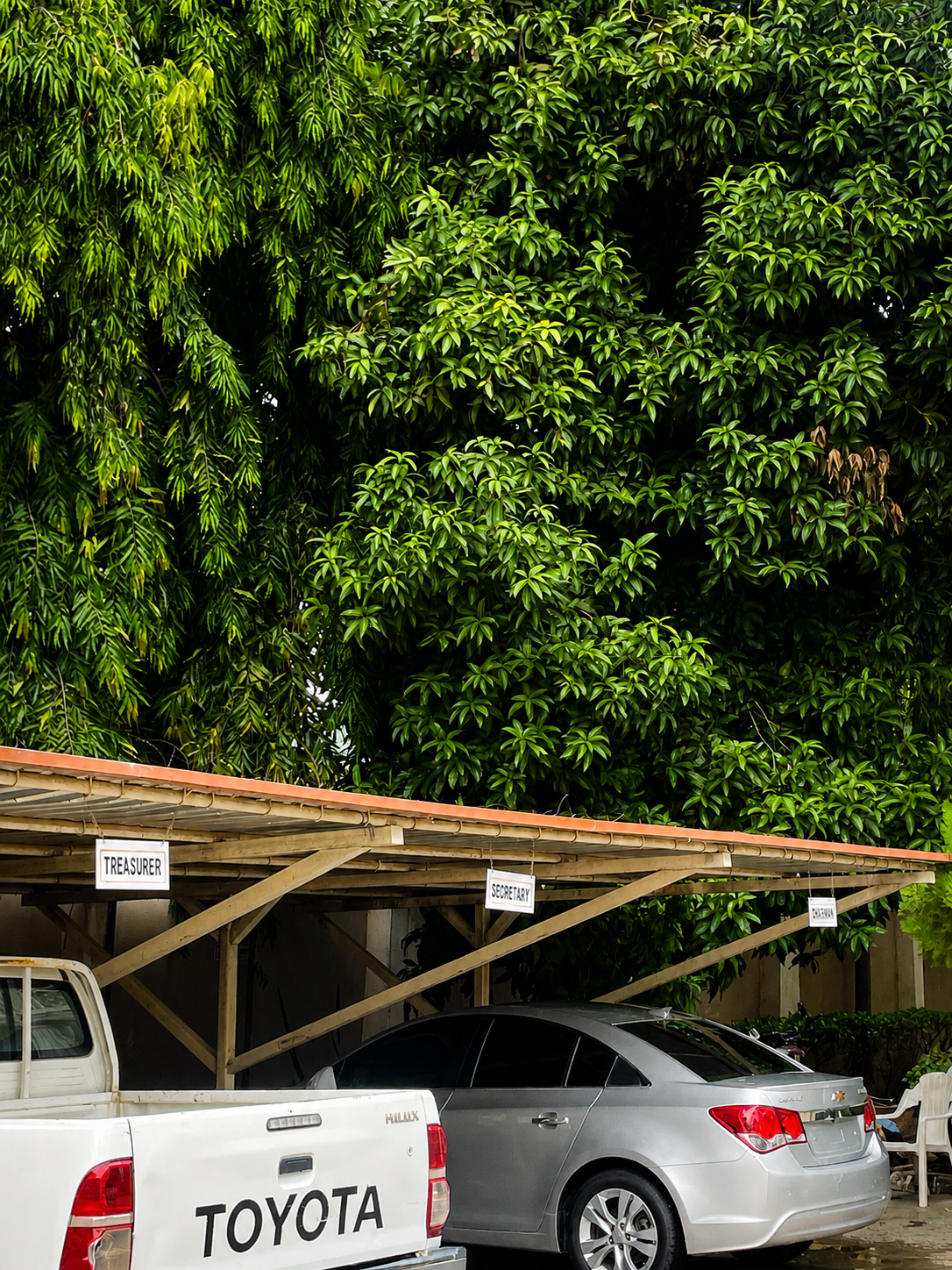 MHWUN secretariat tree-lined compound